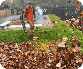 Worker using a leaf blower to clear fallen leaves from a grassy area near a fenced backyard pool.